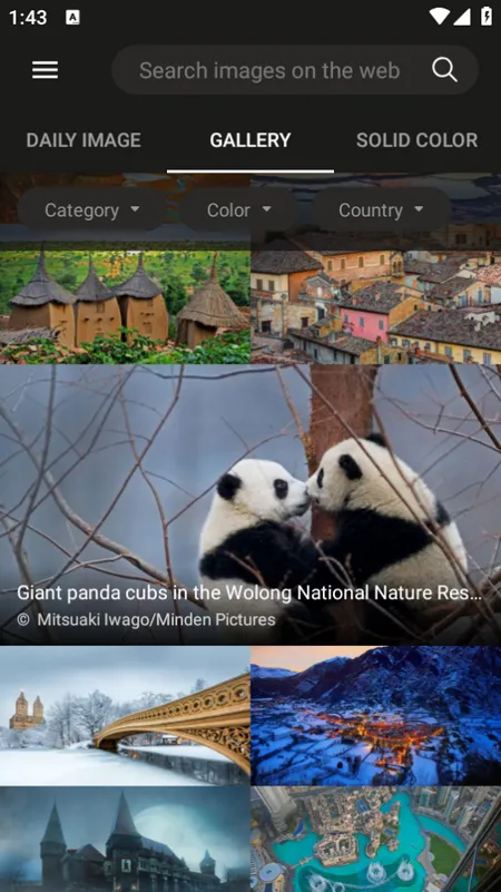 必应壁纸2025下载安装 必应壁纸2025下载安装