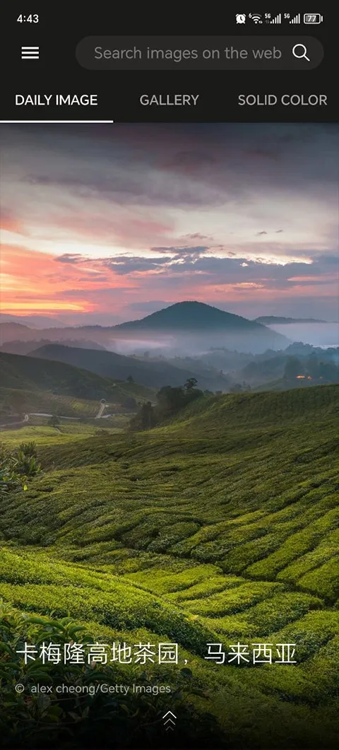 必应壁纸2025下载安装 必应壁纸2025下载安装