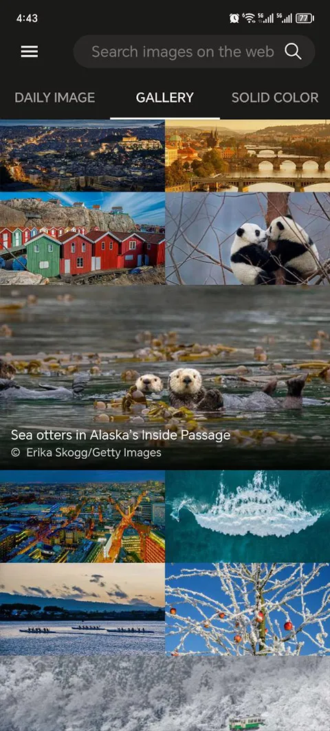 必应壁纸2025下载安装 必应壁纸2025下载安装