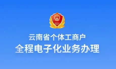 云南个体全程电子化2025官方正版 云南个体全程电子化2025官方正版
