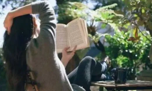 ����С˵2025�ٷ�����