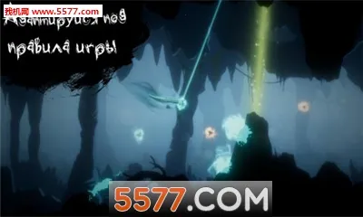 Evolution�����ֻ���