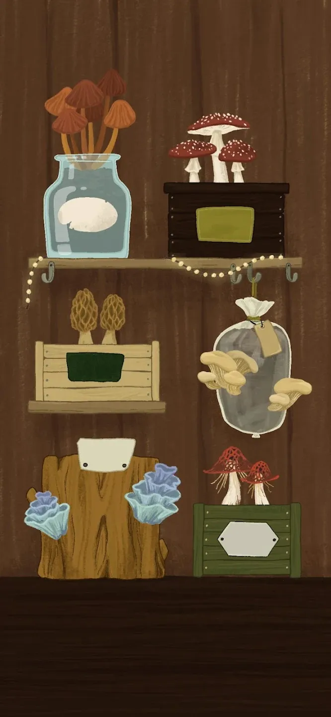 Ů�׵�ħ���̵�2025���ذ�װ