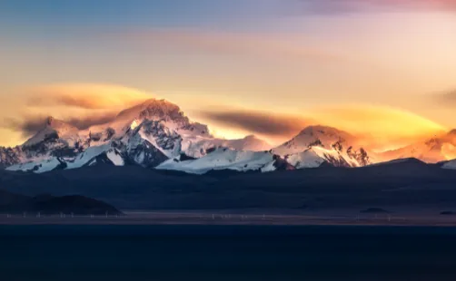 Ѱ�����2025�ٷ�����