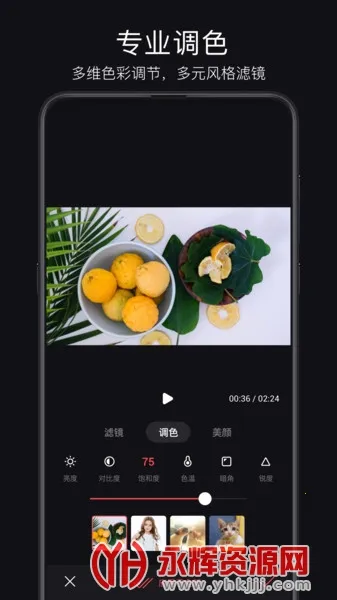 ���2025���°汾