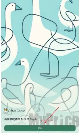 多面鹅(AI面试辅助) 多面鹅(AI面试辅助)