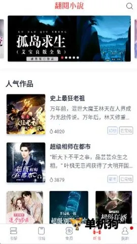 ����С˵(С˵�Ķ�����)