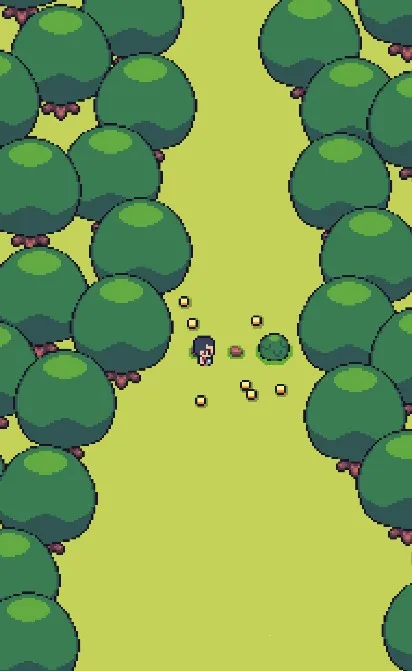 ССũ԰2025���ذ�װ