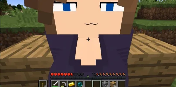 我的世界珍妮模组(珍妮模组沙盒游戏) 我的世界珍妮模组(珍妮模组沙盒游戏)