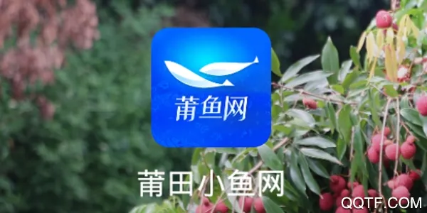 莆田小鱼网(莆田生活社交网) 莆田小鱼网(莆田生活社交网)