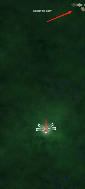 peppycatè��2025�ٷ�����