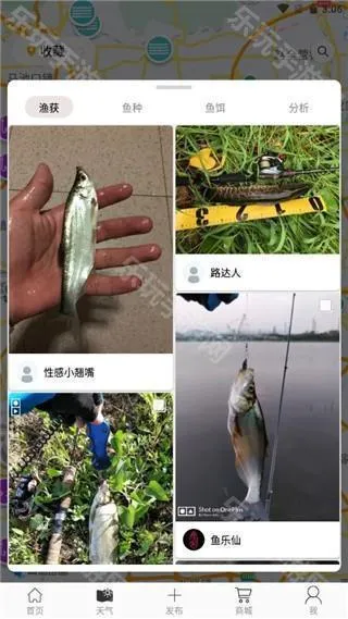 ���(�����罻ƽ̨)