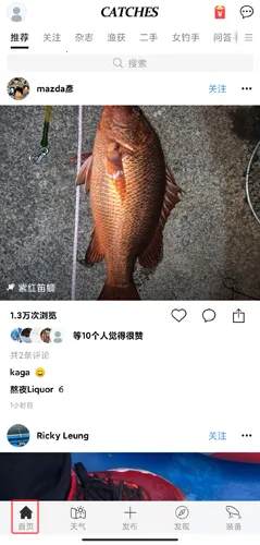 ���(�����罻ƽ̨)