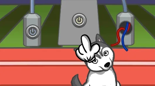 竟然养二哈 竟然养二哈