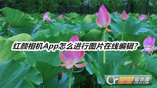 �������2026�ٷ����°汾