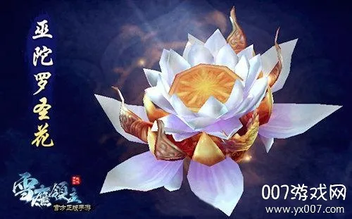 ѩӥ����2026�ٷ����°汾