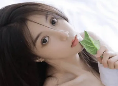 ��������2026�ٷ�����