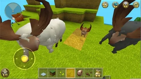 ���������Ʒ�2026�ٷ�����