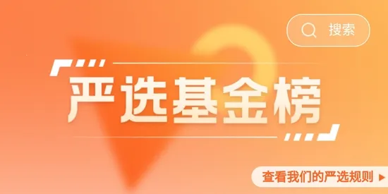 ������ѡ