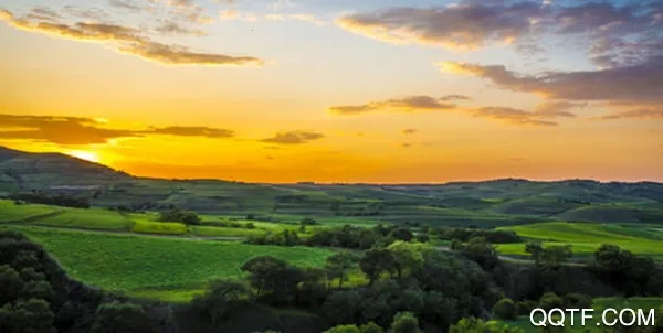 �ƺ�Plus2026�ٷ�����