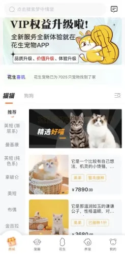 花生宠物最新手机版 花生宠物最新手机版