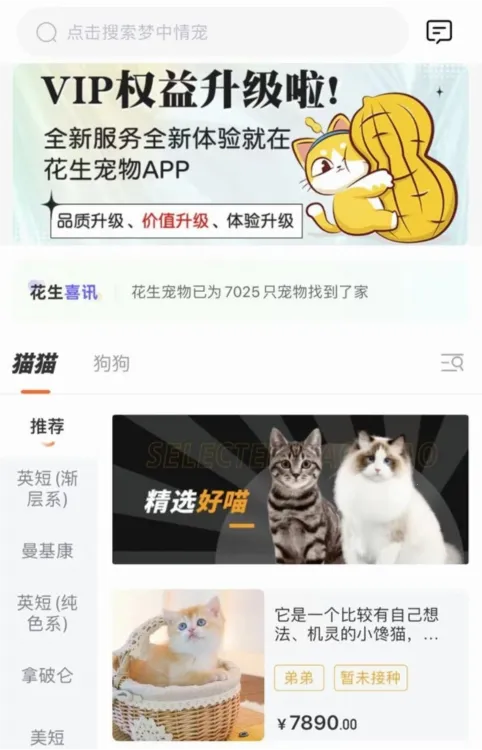 花生宠物最新手机版 花生宠物最新手机版