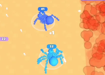 ��Ⱥ����2026�ٷ�����