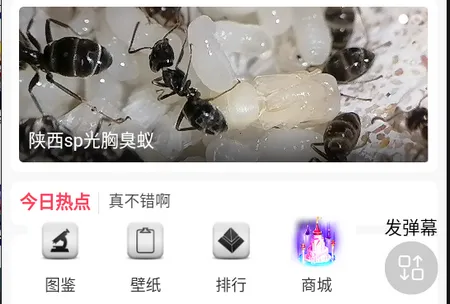 爬宠时代 爬宠时代
