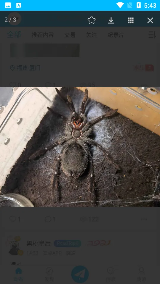 爬宠时代 爬宠时代