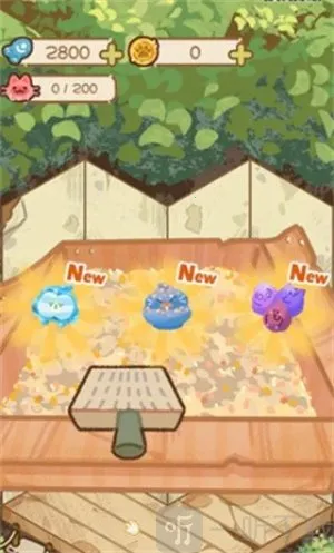 è��èʺ��2026���ذ�װ