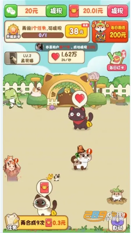 我家猫舍2026最新版本 我家猫舍2026最新版本