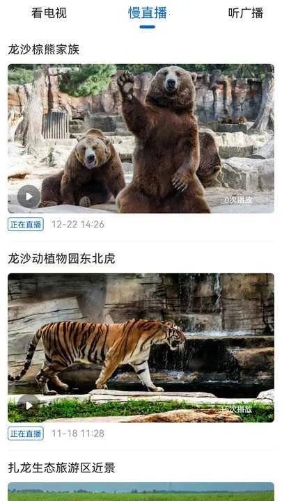 ��������2026���°汾