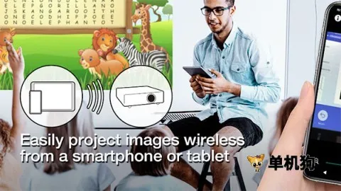 ������ͶӰ��