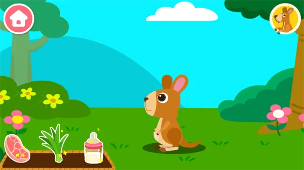 动物乐园 动物乐园