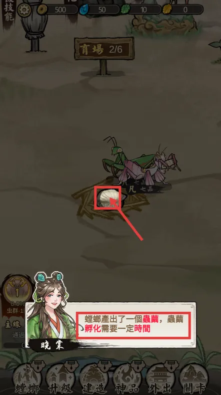 极品螳螂 极品螳螂