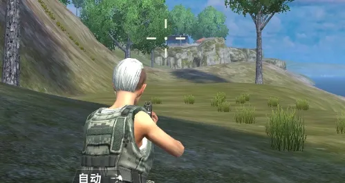 ����С��������