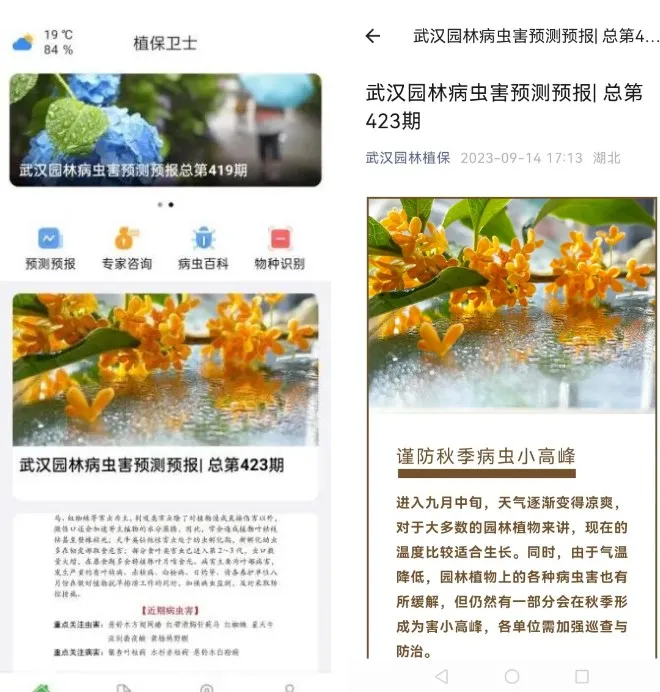 ֲ����ʿ2026�ٷ�����