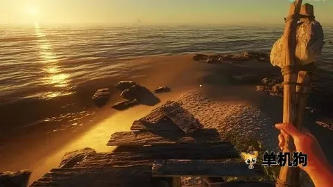 ���ǳ�ĵ�����