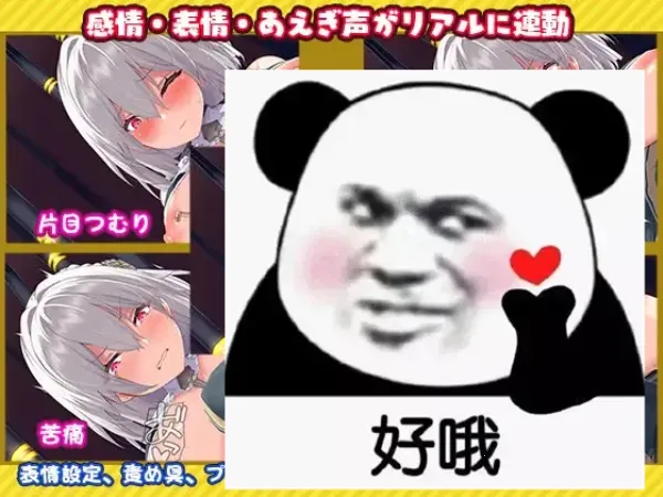 ����ģ����2026���ذ�װ