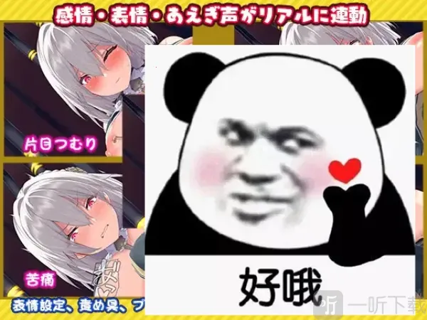 ����ģ����2026���ذ�װ