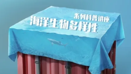 aoe���κ���ƽ̨