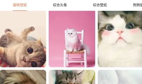 �ȳ跭������׿���ֻ���