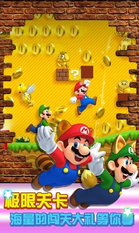 ������¿���