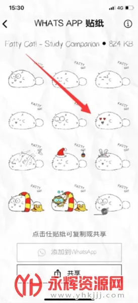 fatty cat2026�ٷ�����