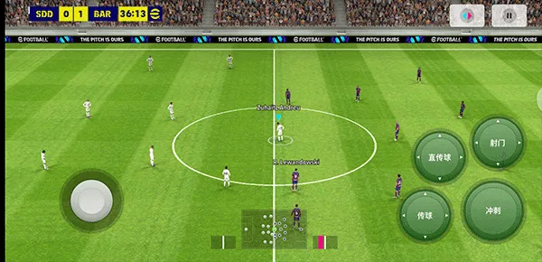 ʵ������