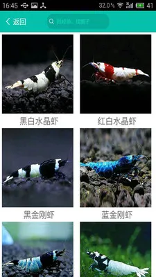 ����ˮ��