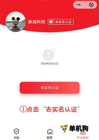 表鸽2026下载安装 表鸽2026下载安装