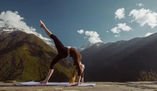 ������ƹ������ֻ���