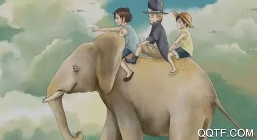 ����С˵�����ֻ���