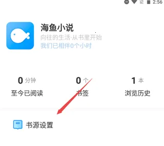 ����С˵������